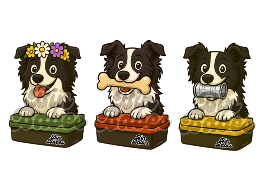 Border Collie Trio