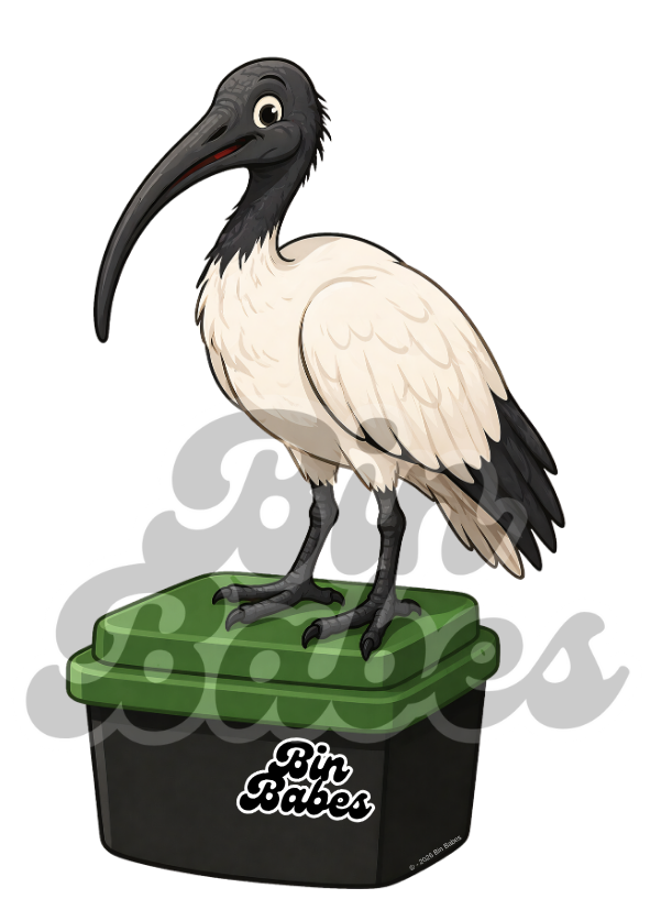 Ibis (Bin Chicken) – Green Bin Sticker