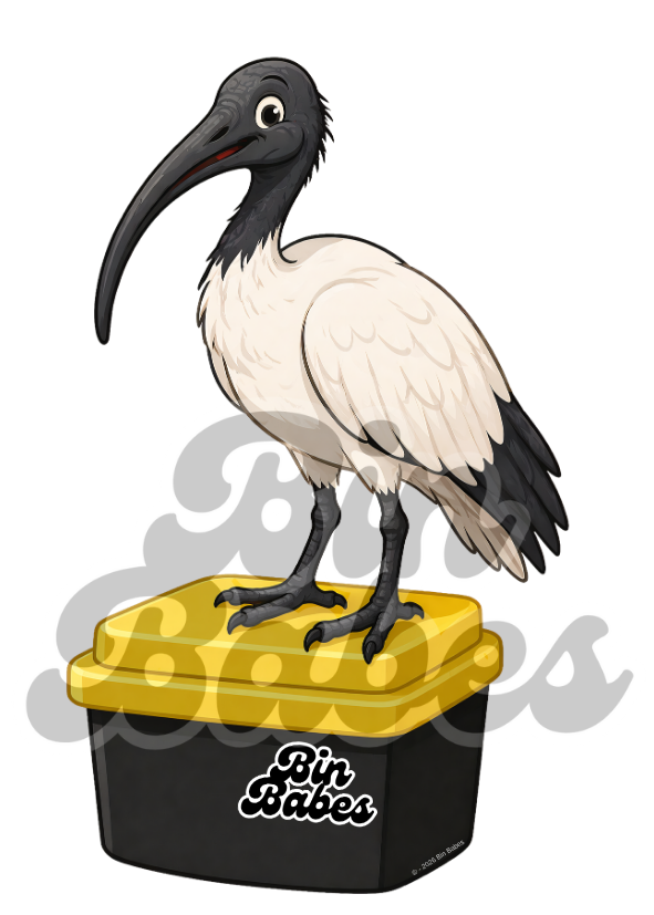 Ibis (Bin Chicken) – Yellow Bin Sticker