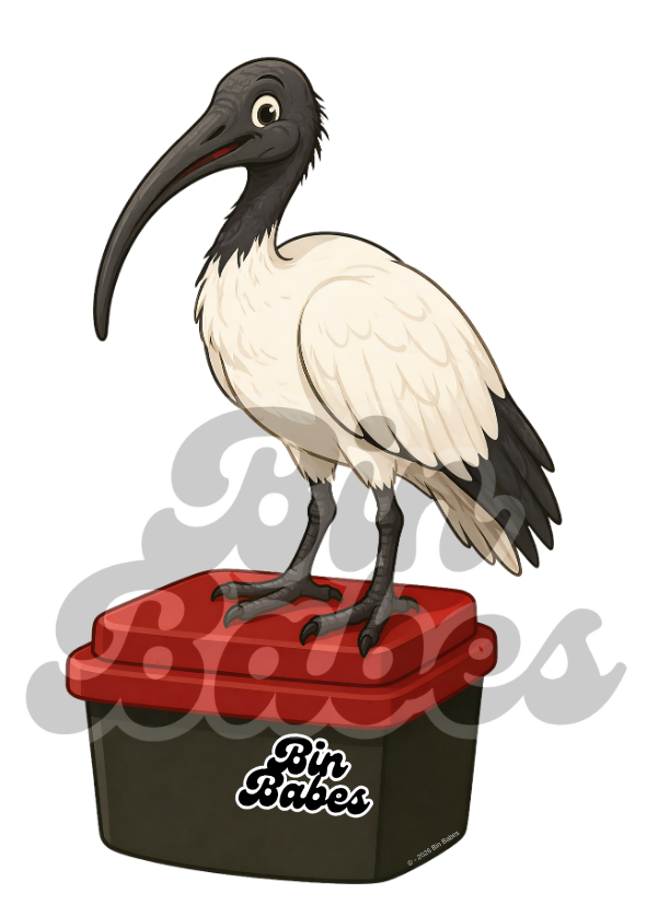 Ibis (Bin Chicken) – Red Bin Sticker