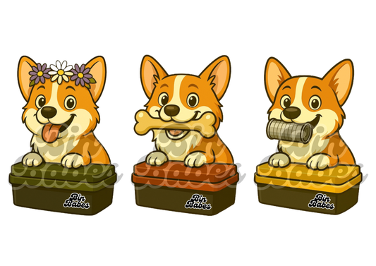 Corgi Trio