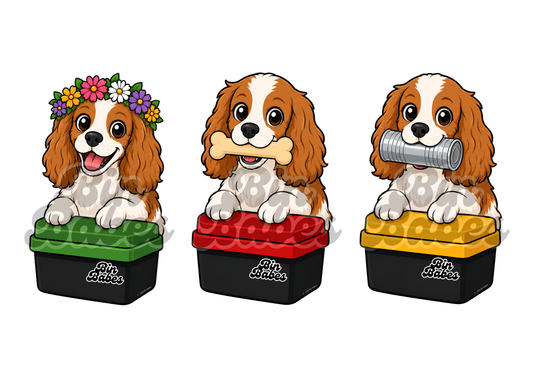Cavalier King Charles Spaniel – Bin Sticker Trio - Choose Your Coat Colour