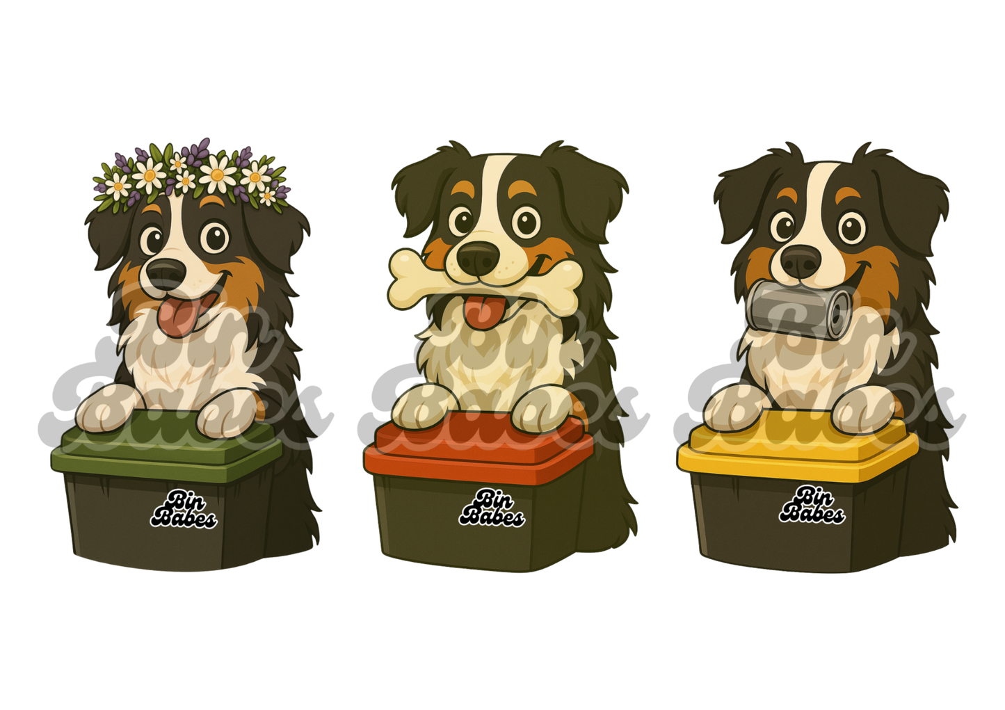 Aussie Shepherd Trio – Choose Your Coat Colour