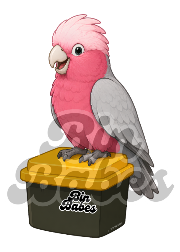 Galah – Yellow Bin Sticker