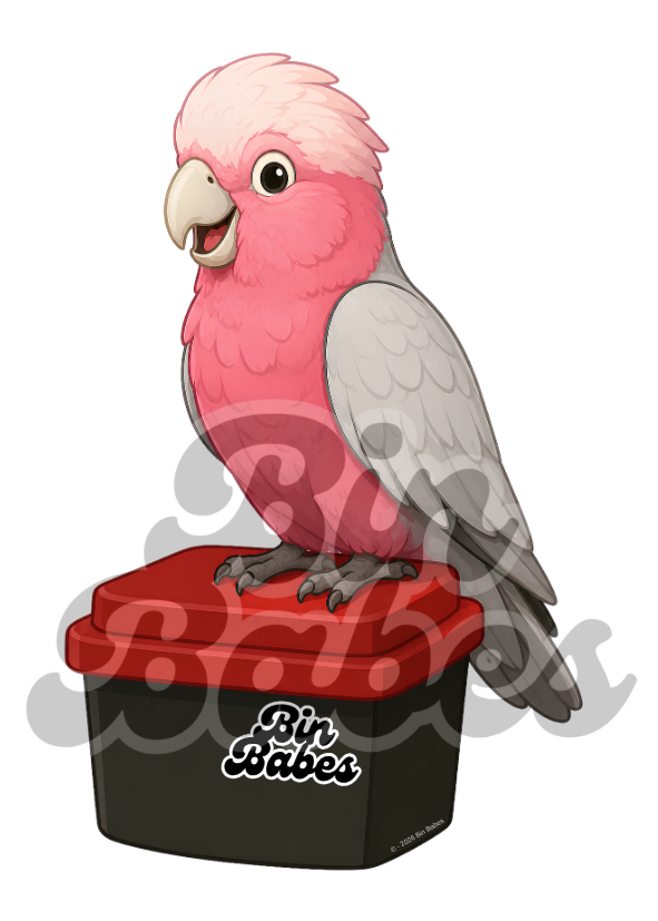 Galah – Red Bin Sticker