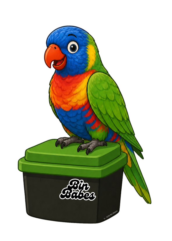 Rainbow Lorikeet – Green Bin Sticker